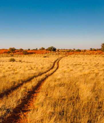 theecohunter-jagd-gebiete-hardap-kalahari-roter-sand-sandige-strasse-jagd-region-namibia