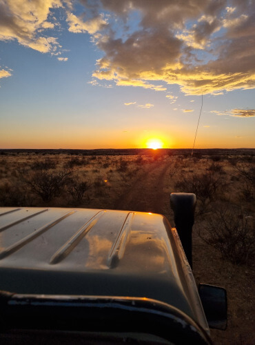 Auf einer deutschen Jagdfarm in Namibia gibt es viele AktivitÃ¤ten wie Sonnenuntergangs-Fahrt Farmrundfahrt