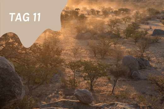 TheEcoHunter Camp & Hunt Tag 11 magisches Damaraland auf Namibia Reise Jagen und Rundreise goldener Staub