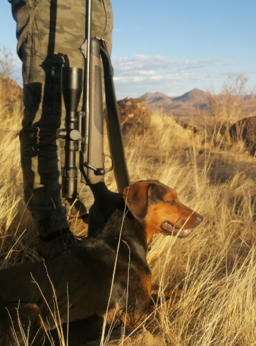 Deutsche Jagdfarmen in Namibia mit deutsch sprachigem JagdfÃ¼hrer JagdfÃ¼hrung mit Bracke schaut in die Weite