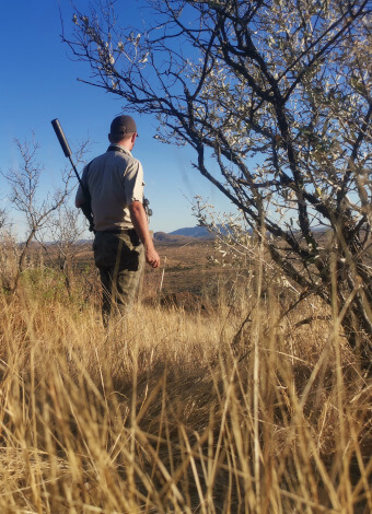 the-eco-hunter-hunting-africa-namibia-different-methods-walk-stalk-sustainable-hunter-standing-in-tall-grass