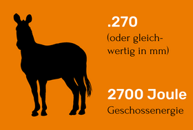 Welches Kaliber für Namibia? Für mittleres Wild/Antilopen, wie Zebra, Kudu, Gnu, Hartebeest/Kuhantilope eignet sich .270 oder gleichwertig in mm/ 2700 Joule Geschossenergie.