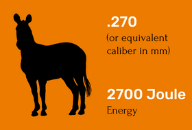 theecohunter-medium-sized-game-which-caliber-for-africa-namibia-zebra-270-2700-joule-energy