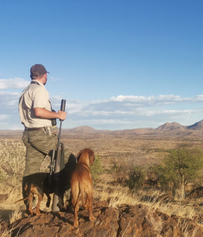 the-eco-hunter-best-hunting-season-when-to-hunter-dog-on-top-of-mountain