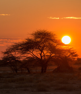 the-eco-hunter-when-to-hunt-regulation-sunset-namibia-africa-before-after-sunset-allowed