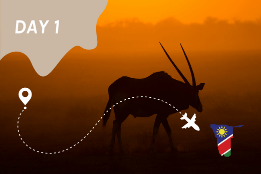 TheEcoHunter Hunt & Fish Trip Namibia arrival on hunting farm. walk & stalk oryx bull at sunset