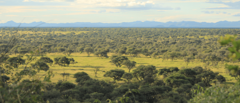 "Panorama einer namibischen Jagdfarm mit Blick auf die Savanne und Berge – idealer Lebensraum für die Eland-Antilope während der Jagd"