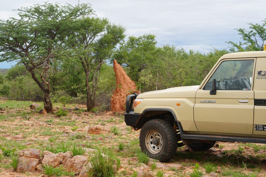 Namibischer Safari-Jeep, Landcruiser vor einem großen Termitenhügel inmitten von Bäumen und Buschlandschaft.