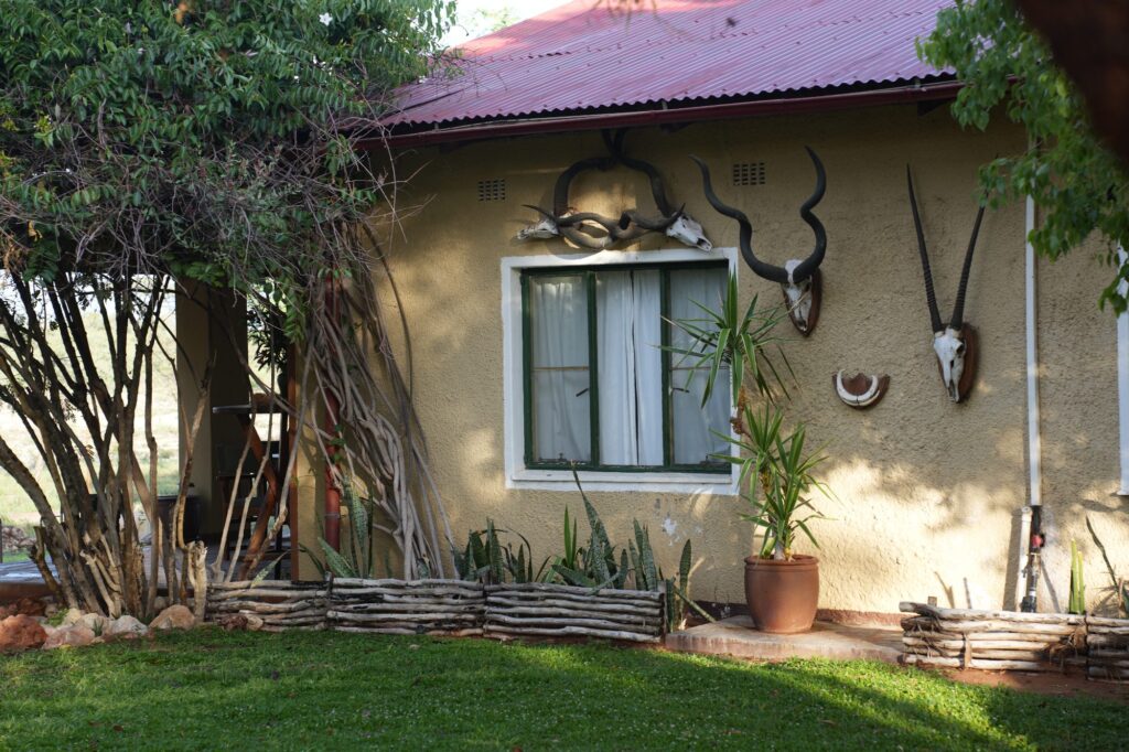 Außenansicht eines namibischen Farmhauses mit gepflegtem Rasen, Pflanzen und Bäumen, dekoriert mit Jagdtrophäen an der Wand.