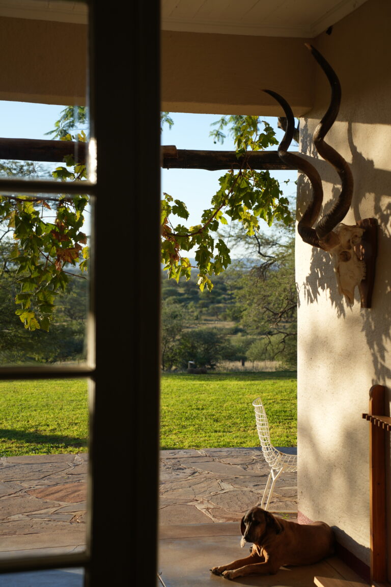 Namibia Jagdfarm Krumneck, Angebot TheEcoHunter