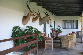 Überdachte Veranda der Jagdfarm Krumneck in Namibia mit Trophäen an der Wand und gemütlichen Sitzmöbeln.