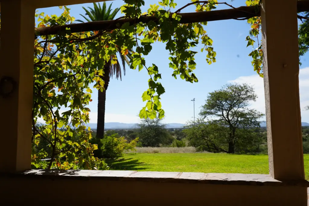 Ausblick von der Farmterrasse über grünen Garten mit Palmen und Bäumen in Namibia