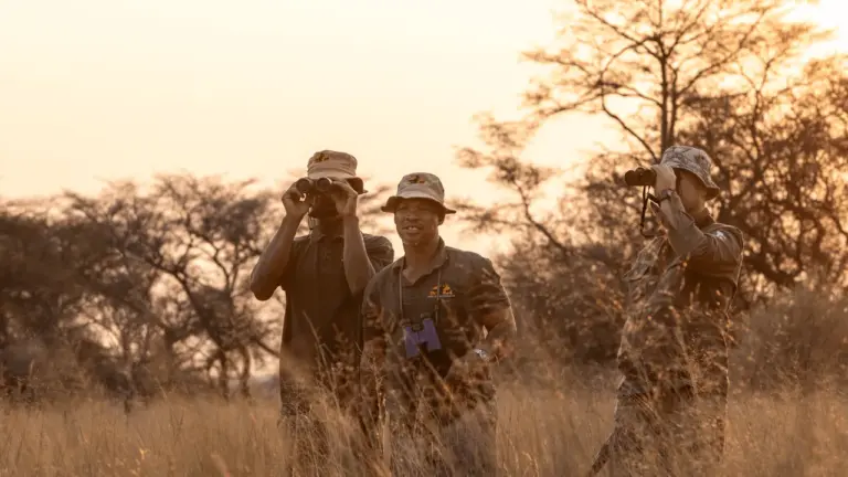 The EcoHunter – Guides der Petersfarm beim Spotten im goldenen Abendlicht