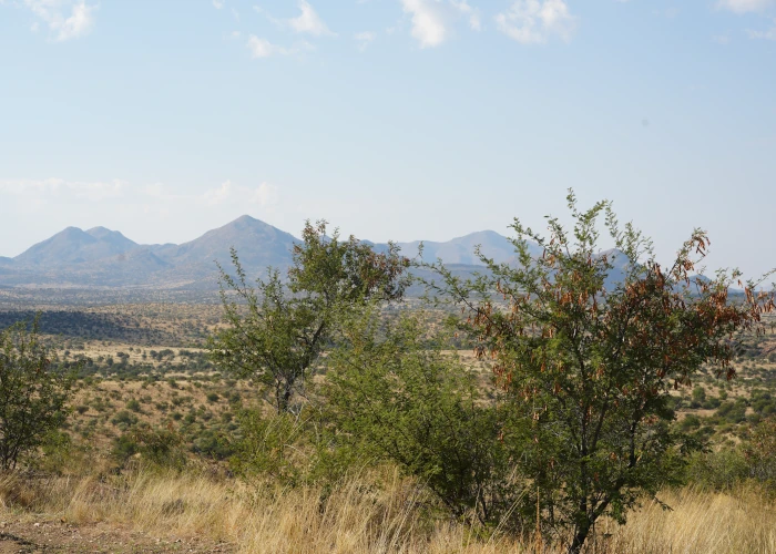 Mountain landscape of the Khomas Highland at Haris hunting farm, Namibia