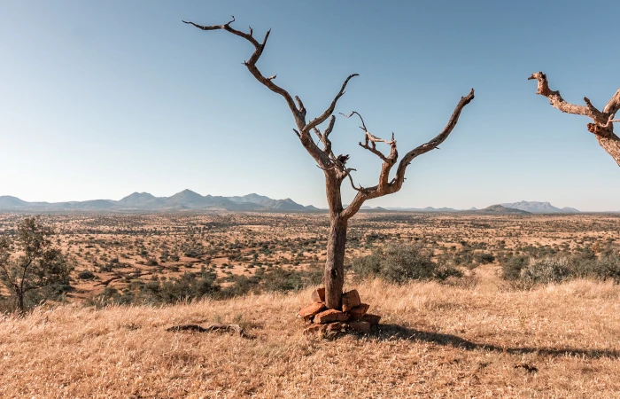 Wide landscape with a dead tree at Haris hunting farm, Khomas Region