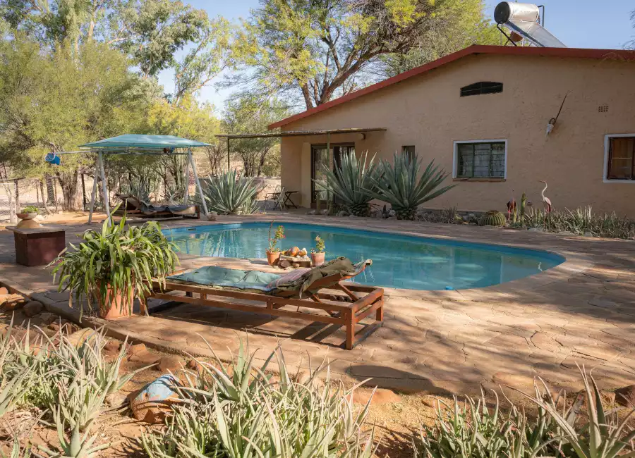 Swimming pool with loungers at Okondura hunting farm