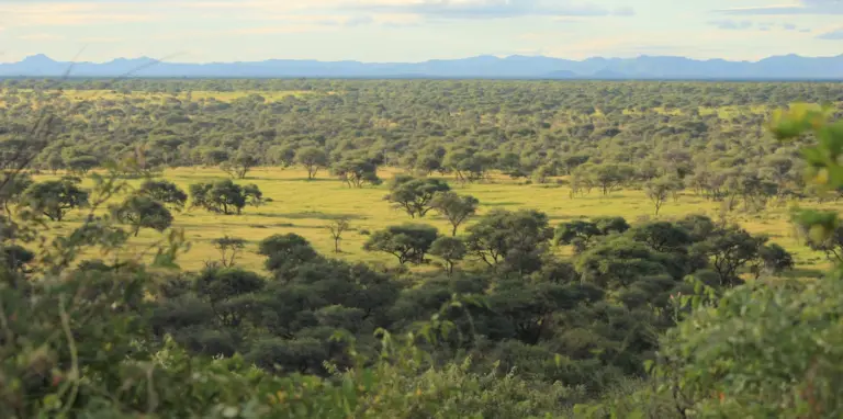 Wide view over the Omambonde valley, Namibia