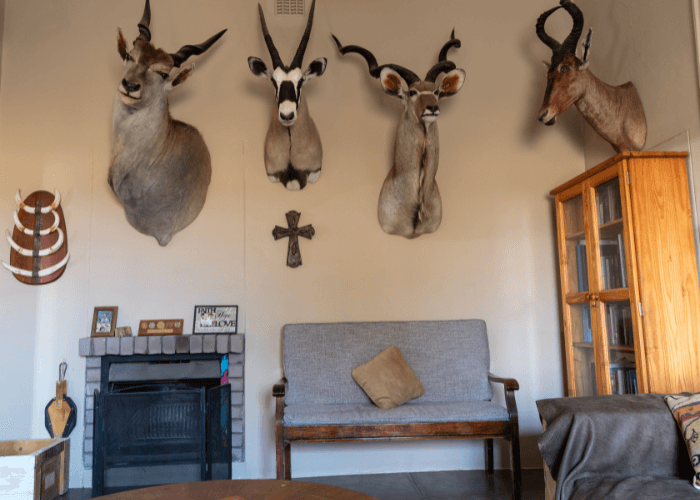 Living room at Petersfarm
