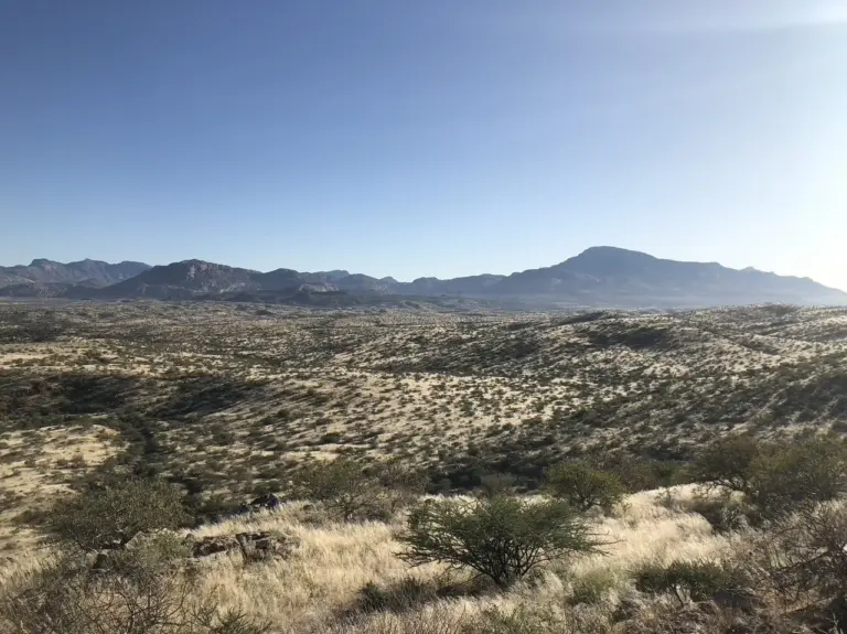Landscape of the Reficiens hunting area