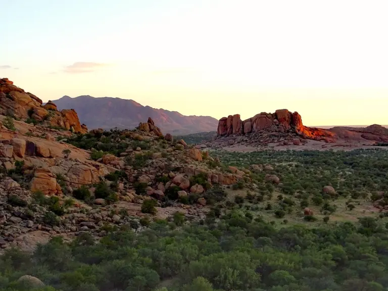 View of the Erongo Mountains from Reficiens