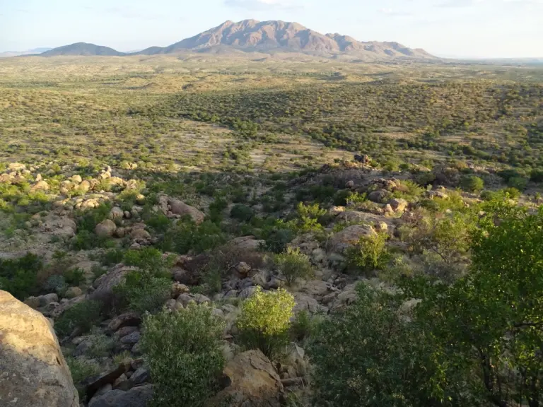 Bushy mountain landscape at Reficiens