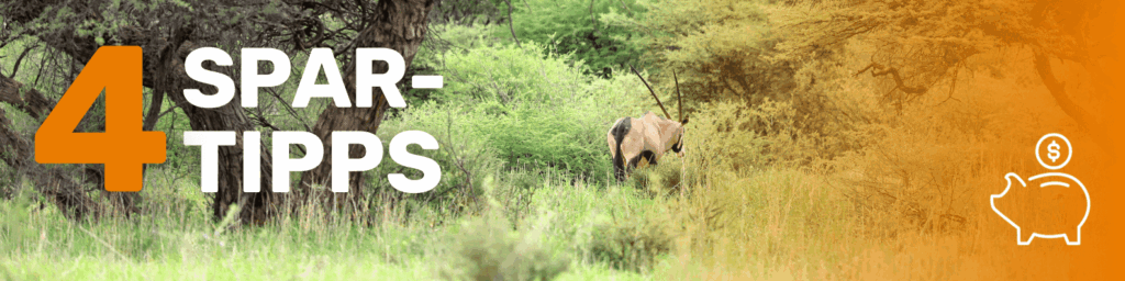 Tips to keep the cost of a Namibia hunting trip down